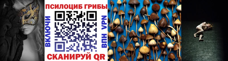 Псилоцибиновые грибы мухоморы  закладка  площадка Telegram  Новоалтайск 