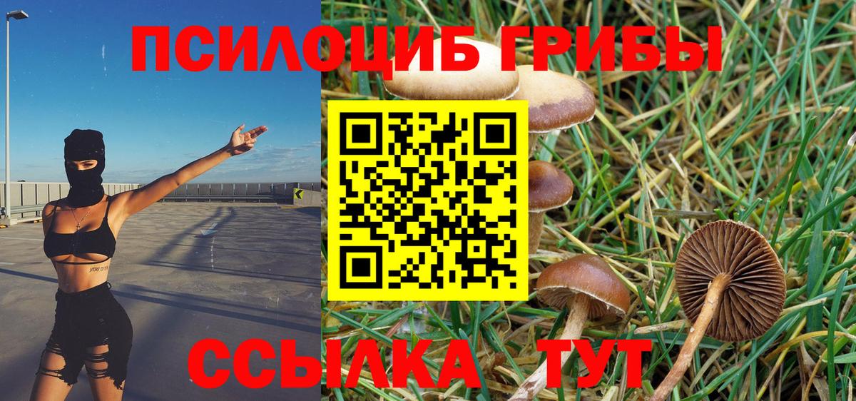Новоалтайск  Псилоцибиновые грибы Magic Shrooms  Вход с VPN 