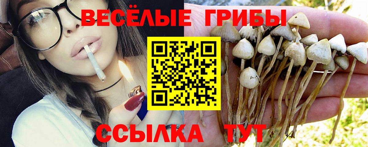 МЕТАМФЕТАМИН  Бошки Шишки  Меф МЯУ МЯУ   Cocaine  ГЕРОИН  Вход с VPN  Гашиш  Новоалтайск  Меф МЯУ МЯУ 